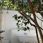 L'amarantine *