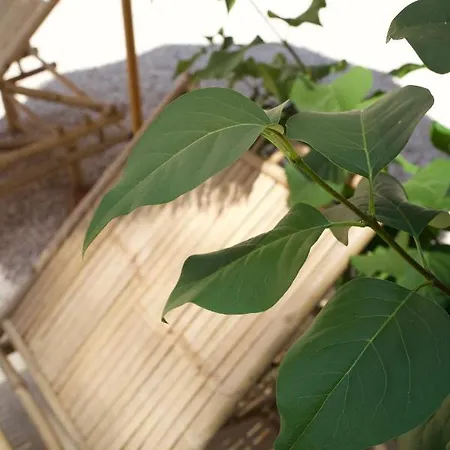 L'amarantine Дом отдыха *