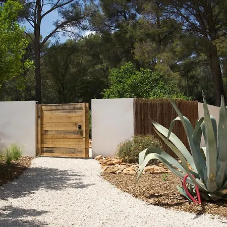 L'amarantine La Ciotat